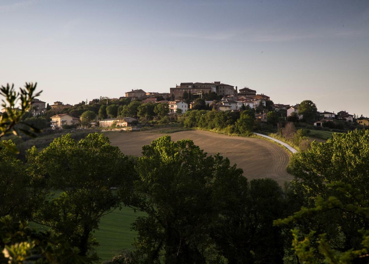Ostra Grande Villa Storica Per Vacanze Con Giardino Privato E Piscina מראה חיצוני תמונה