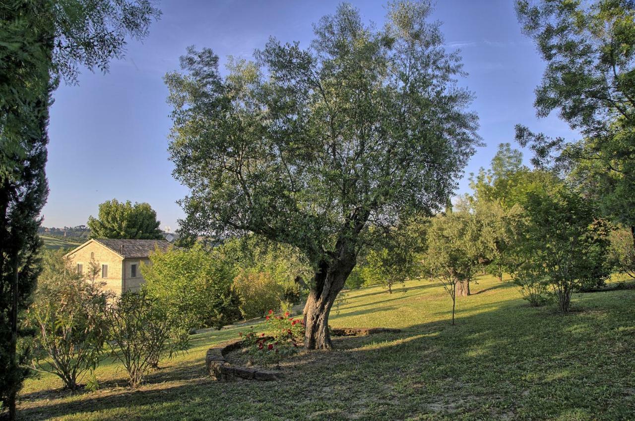 Ostra Grande Villa Storica Per Vacanze Con Giardino Privato E Piscina מראה חיצוני תמונה