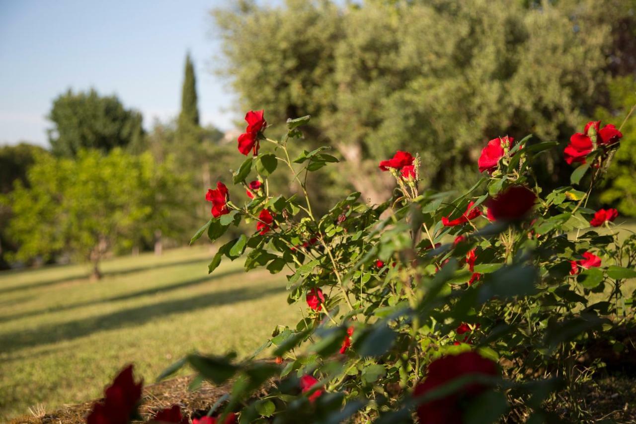 Ostra Grande Villa Storica Per Vacanze Con Giardino Privato E Piscina מראה חיצוני תמונה